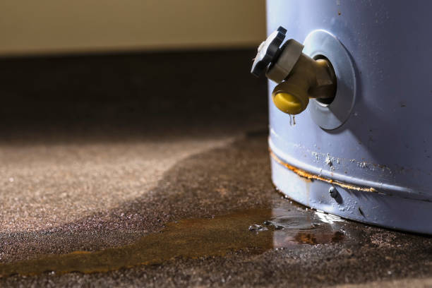 Best Sewage cleanup and water damage restoration  in River Bend, NC
