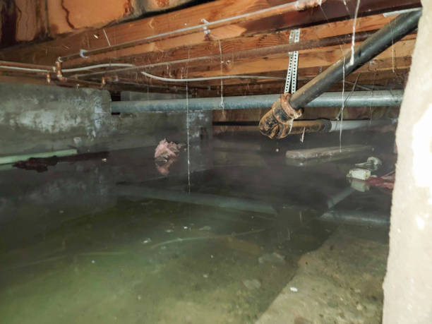 Best Residential water damage restoration  in River Bend, NC