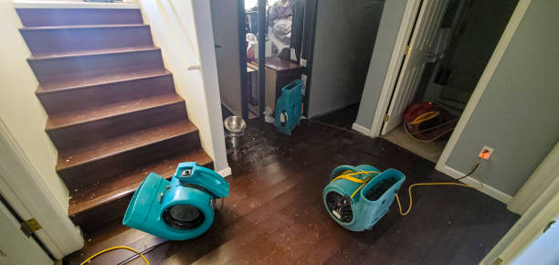 Best 24/7 water damage repair  in River Bend, NC