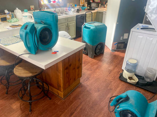 Best Flood damage cleanup  in River Bend, NC