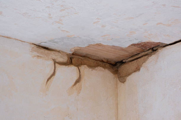 Best Water damage mitigation services  in River Bend, NC