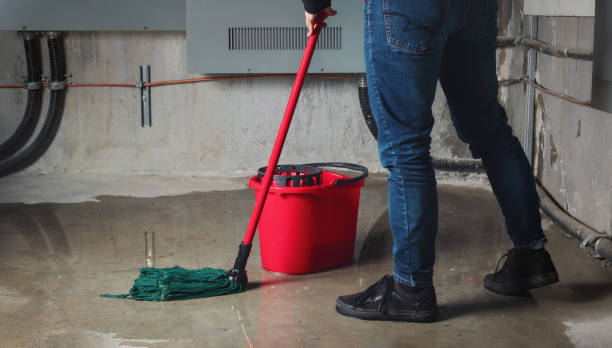 Best Basement water damage restoration  in River Bend, NC
