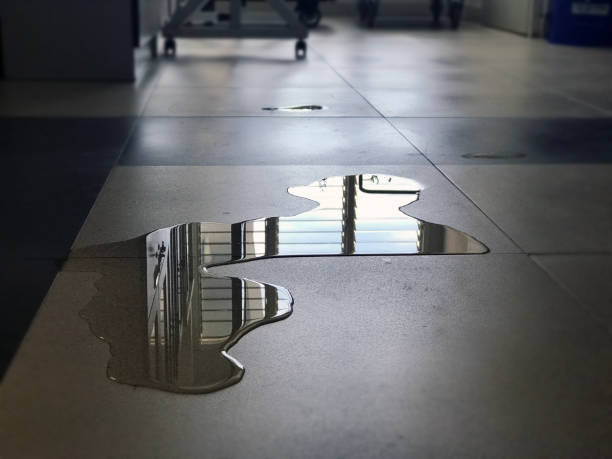 Best Water damage cleanup near me  in River Bend, NC