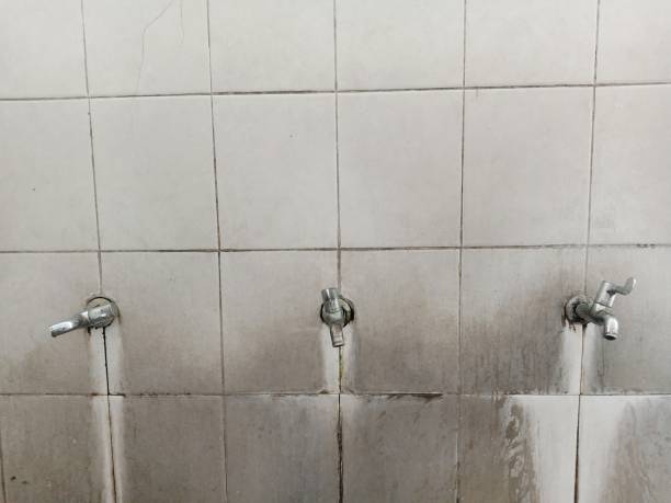 Best Commercial water damage restoration  in River Bend, NC
