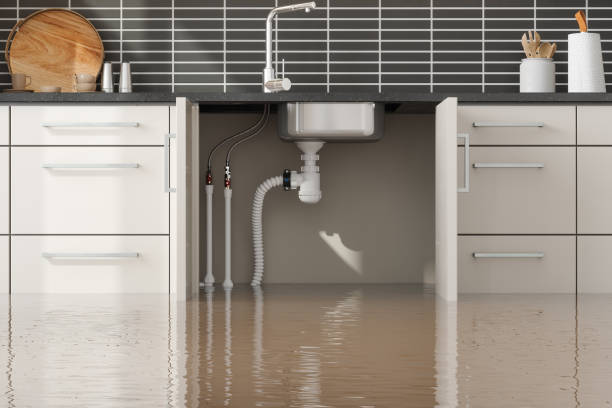 Best Sewage cleanup and water damage restoration  in River Bend, NC